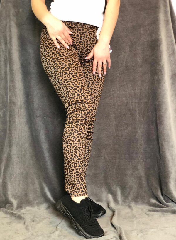 Colanti vatuiti animal print Hi20