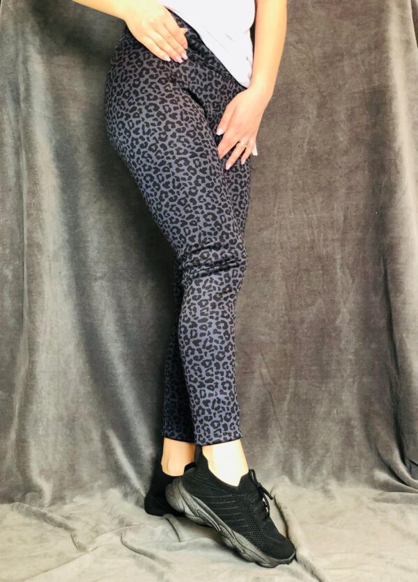 Colanti vatuiti animal print Hi21
